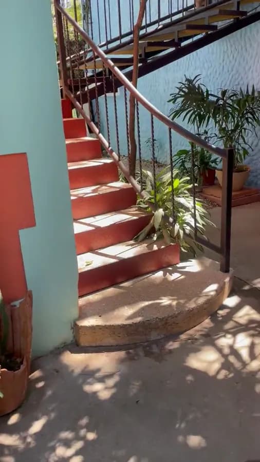 Videos del proyecto 4